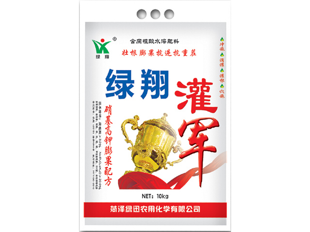 綠翔冠軍